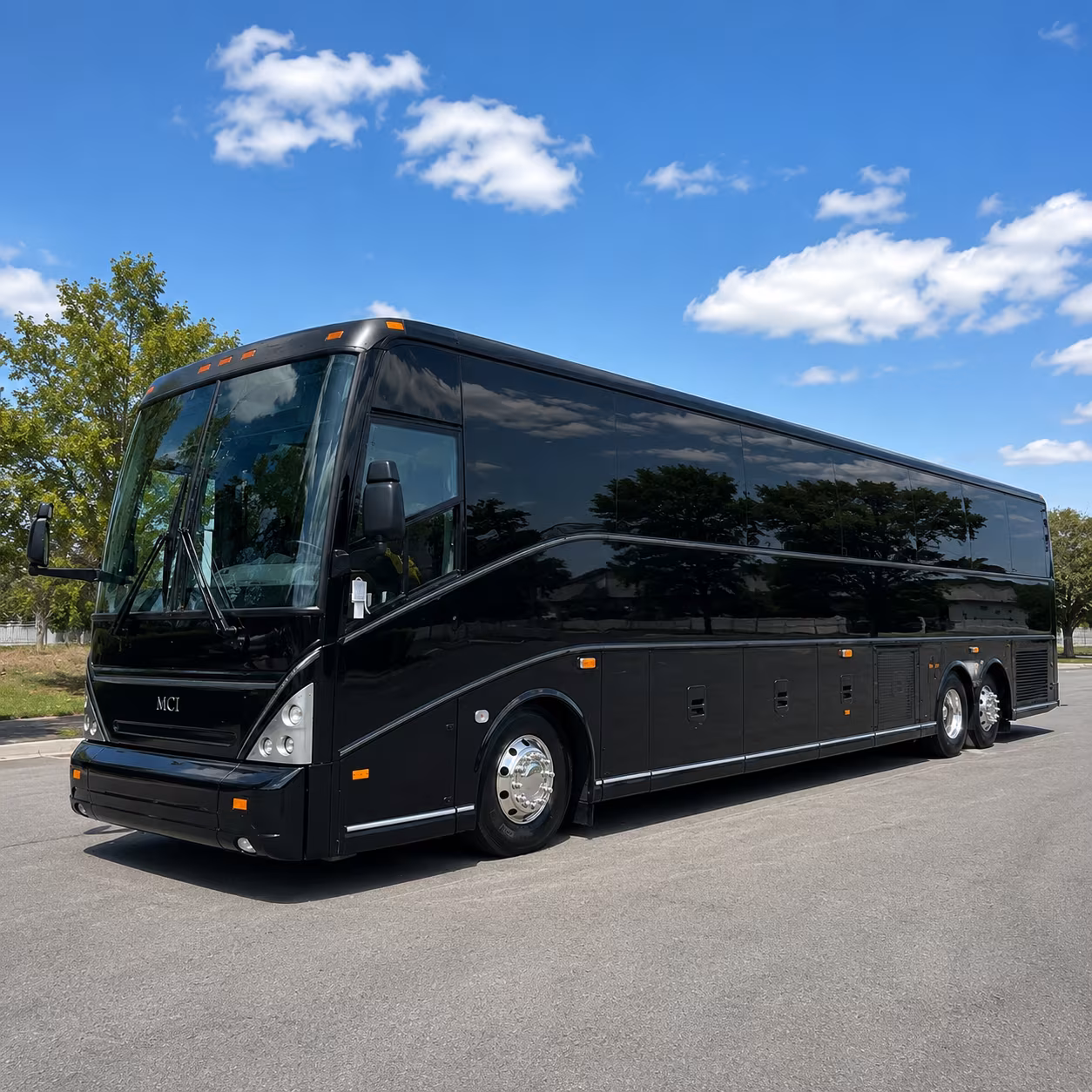 charter buses for sterling heights bachelor groups heading to a tigers lions or wings game