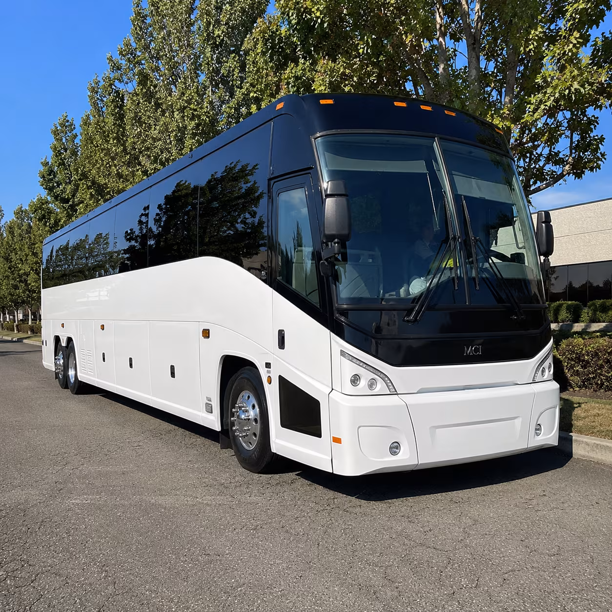 sterling heights 50 passenger charter bus