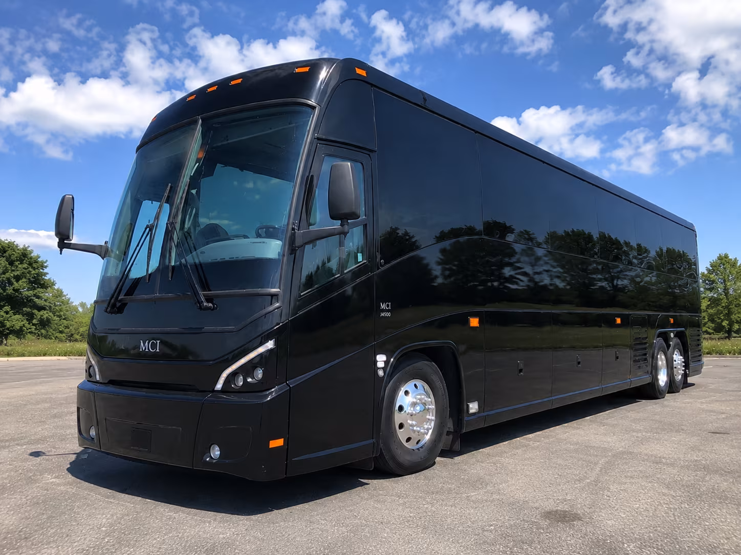 sterling heights birthday party transportation